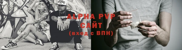сатива Осташков