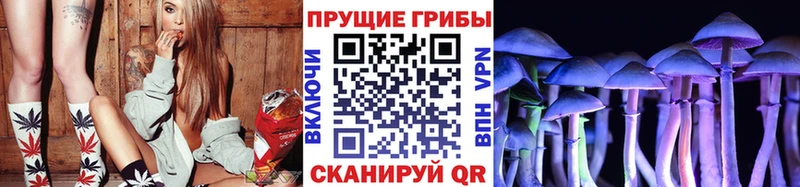 Псилоцибиновые грибы Magic Shrooms  как найти закладки  Ряжск 